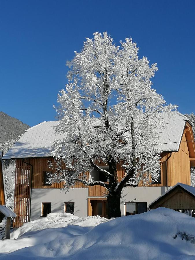 Apartamento Gorski Raj *